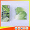 Resealable LDPE Clear Ziplock Freezer Storage Bags For Vegetable supplier